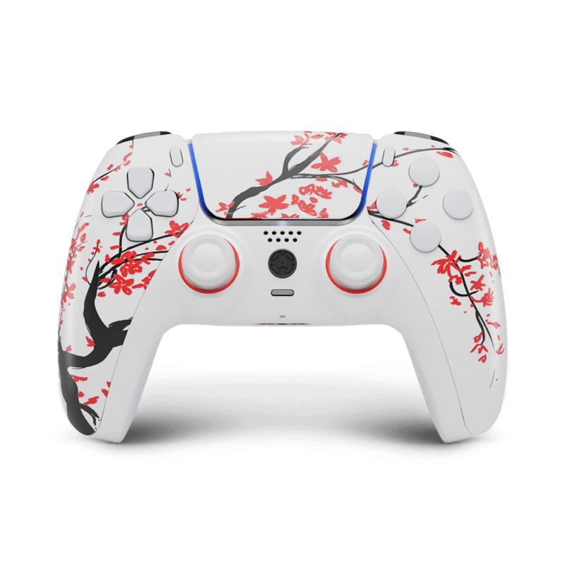 Cherry PS5 Aim Controller