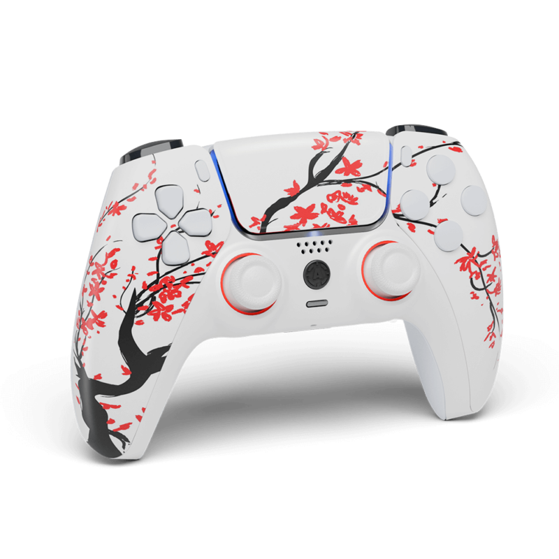 Cherry PS5 Aim Controller