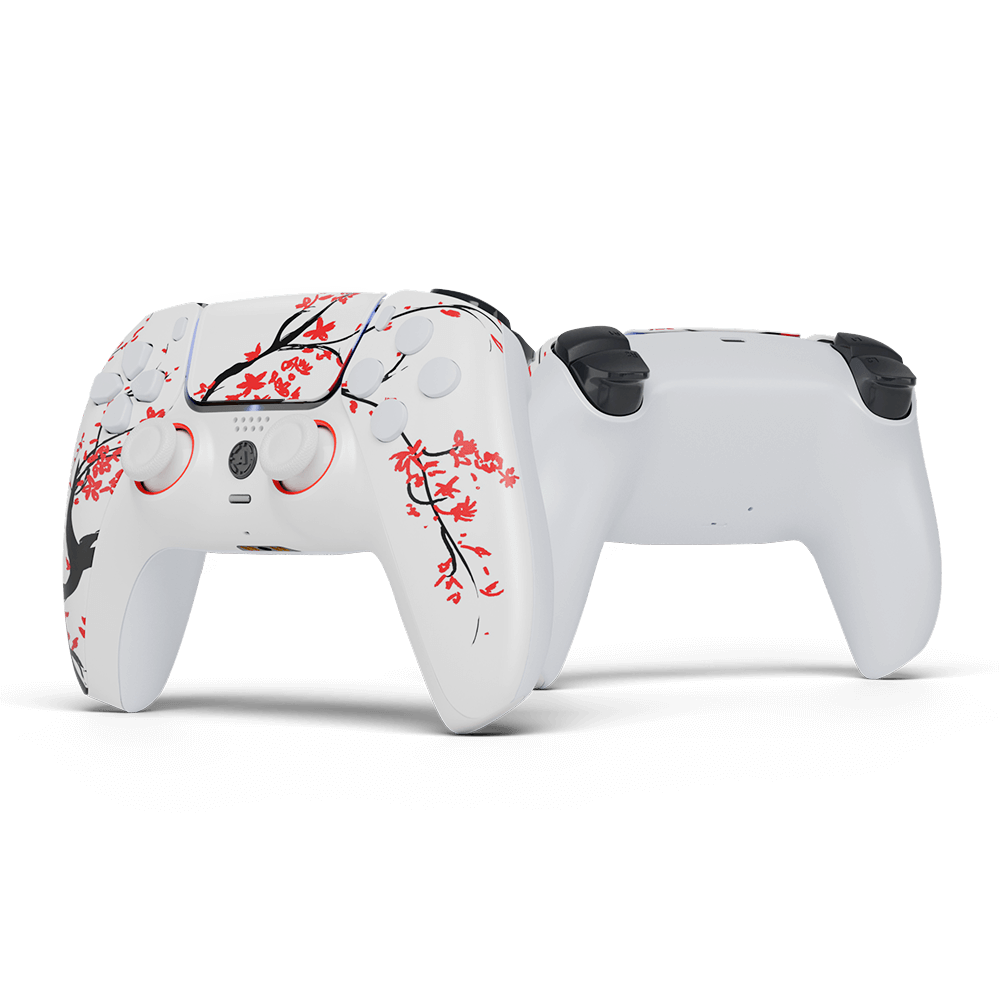Cherry PS5 Aim Controller
