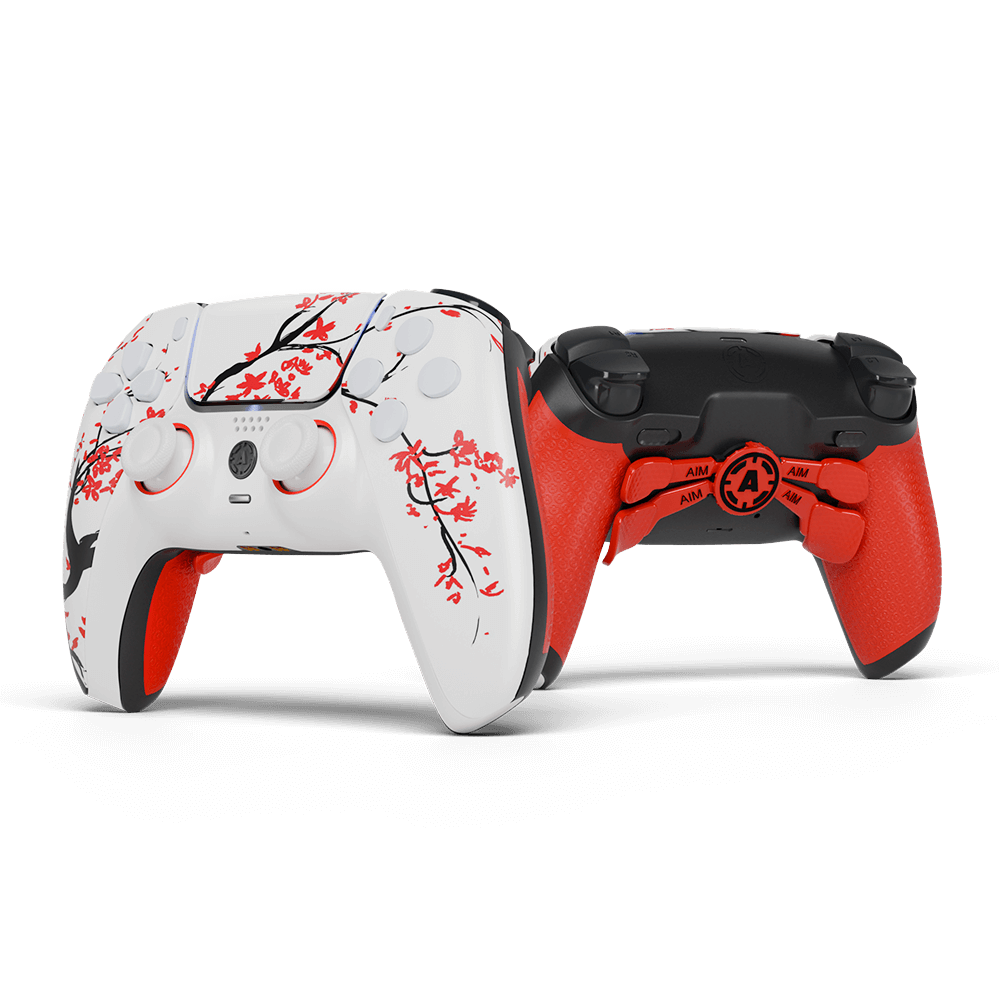 Cherry PS5 Aim Controller