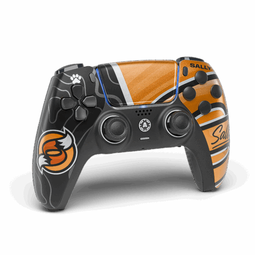 Sally PS5 Aim Controller - Aimcontrollers