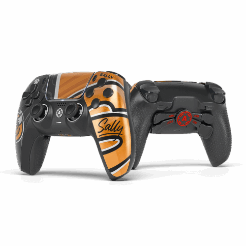 Sally PS5 Aim Controller